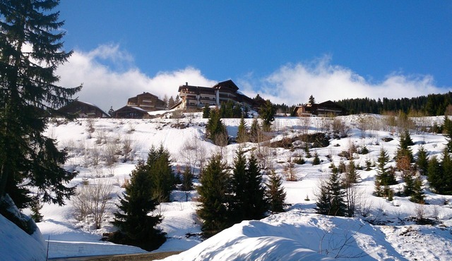 Luxury apartment in Bisanne 1500 - Les Saisies