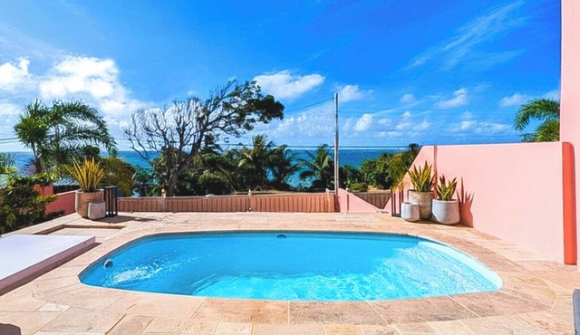 Luxury Oceanview Townhouse · 4 Ensuites + Private Plunge Pool, Tobago