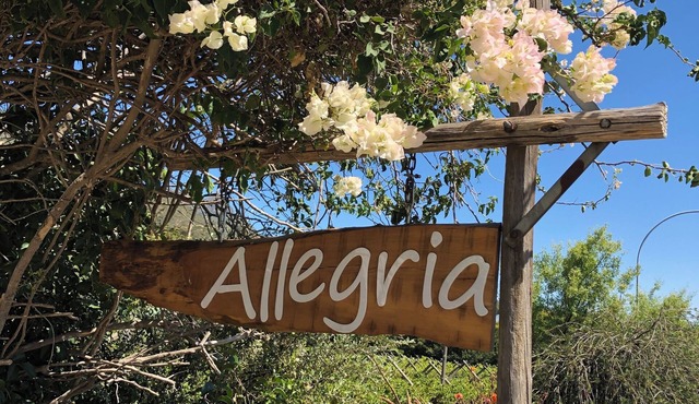 Luxury serviced 4 bedroom villa nestled in vineyards with organic kitchen garden