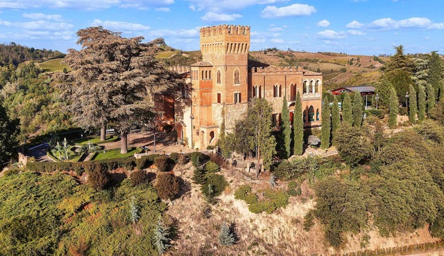Marvellous castle with pool overlooking the vineyards! - Castello Mornico 20 PAX