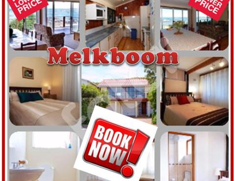 Melkboom