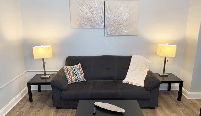 Modern Dog Friendly 1BD/1BA Apt in Federal Hill