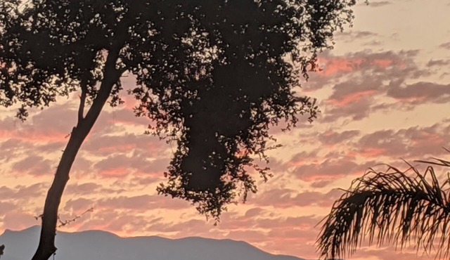 Modern Ojai - Best Location