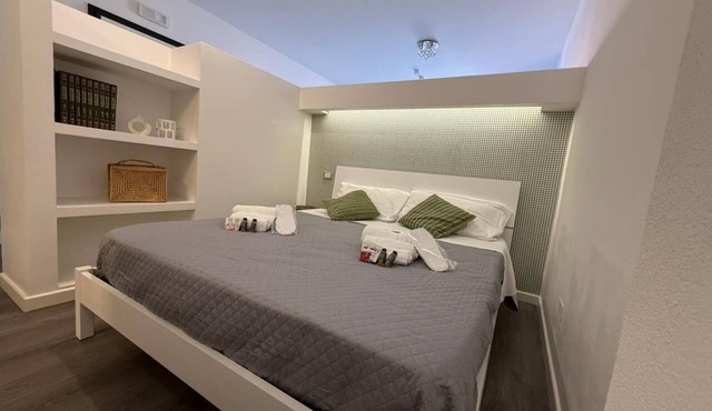 Modern one-bedroom designer apartment