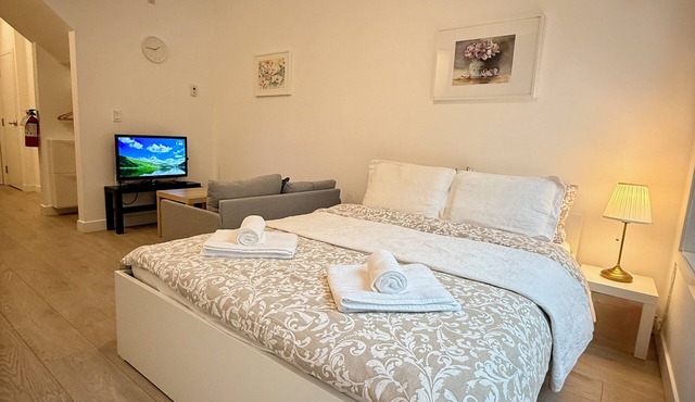 Modern Studio with Wi-Fi and Kitchen! (Steps away from public transit)