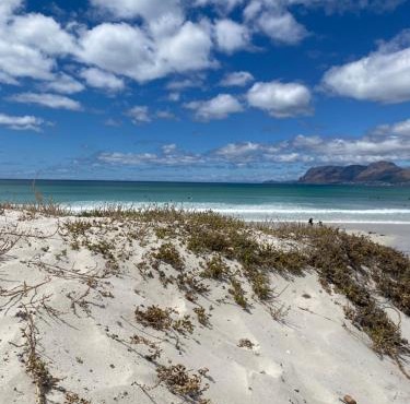 Muizenberg Sea Search Self Catering