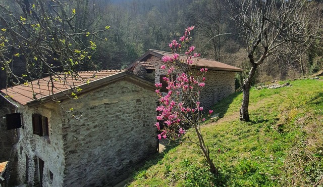 Mulazzo: Historic mill by the river in the middle of nature in northern Tuscany
