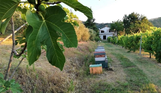 Naturaliterre Agriturismo - Microfattoria