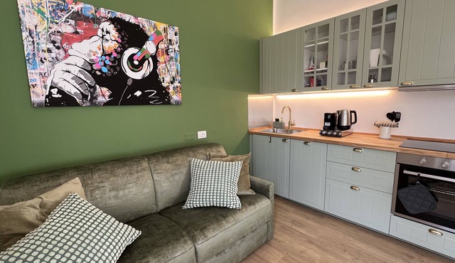 New in the center 5 min of David. WiFi-AC-Washer/Dryer-3 bedrooms-3 bathrooms