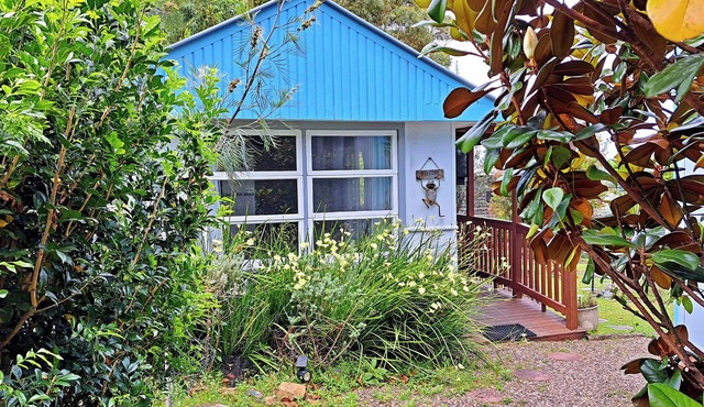 North Durras Beach Cottage - close to the beach, lake and forest.