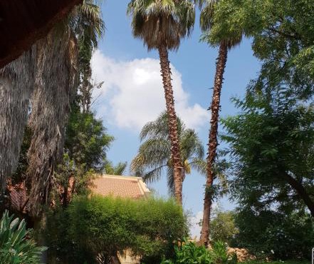 "O Sole Mio" Garden apartment in Bedfordview 12 minutes from OR Tambo International Airport