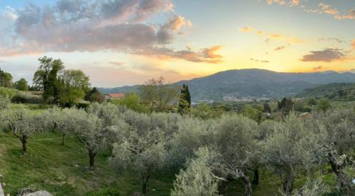 Oasi della Calvana
