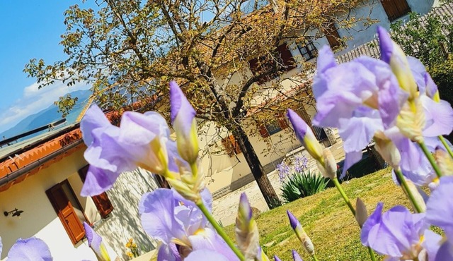 Oasi di serenità, pace e tranquillità, immersa nel verde del Mugello