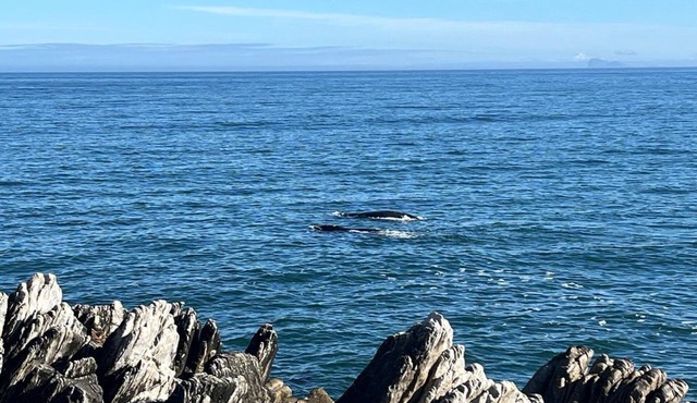 Ocean on your doorstep