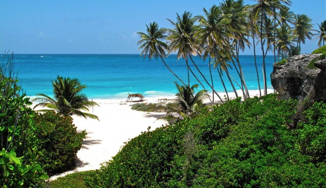 Ocean view 2 bedroom apartment with a pool