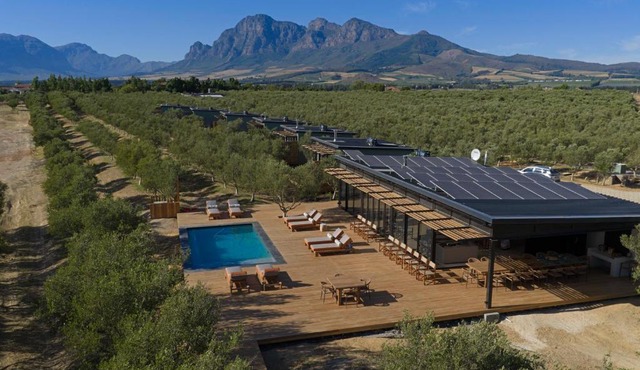 Olijvenkraal Winelands Lodge