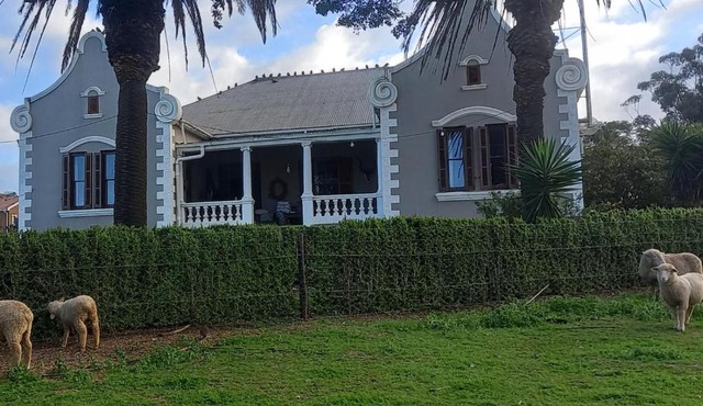 Olive Tree Guesthouse