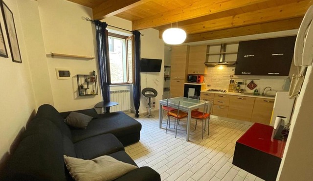 Olli's Place