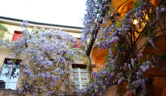 Palazzo Dalla Rosa Prati