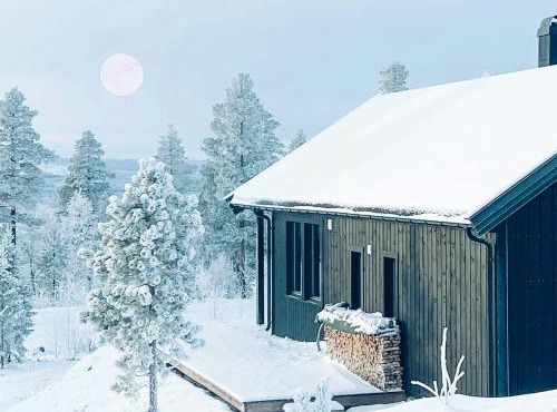 Panoramic Cabin At Fulufjellet With Ski In Ski Out