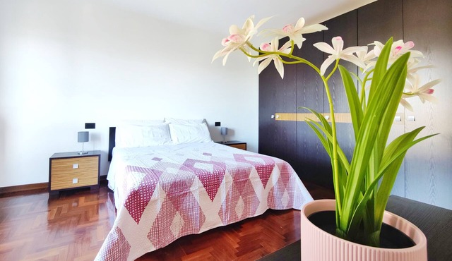 Penthouse with Private Parking