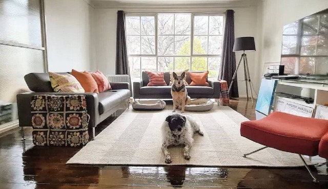 Pet Friendly Inner City Comfort. Coffee Food Shops a 2min Walk