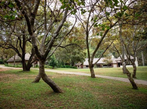 Pinewood Cottages