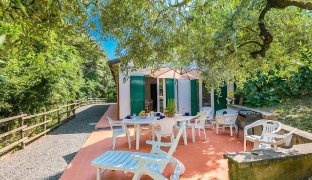 Podere gli Olivi by Interhome