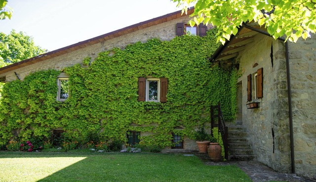 Podere Monte, panoramic terrace on the Apennines with walks and barbecues.