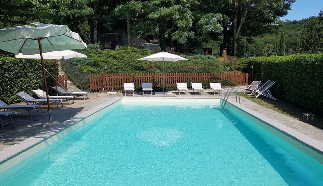 Poggiolo Oasis of relaxation swimming pool nature lavender horses wine - Tuscany