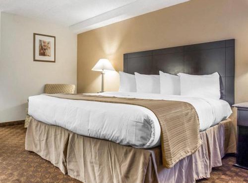 Quality Inn & Suites Coliseum