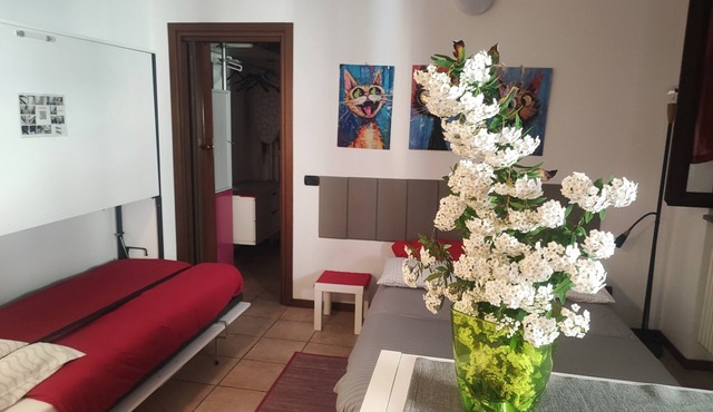 Quiet apartment well served, close to Leolandia, 2 steps from Liveclub
