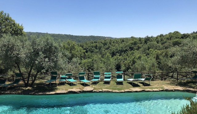 Relax in Nature in Tuscany Near Siena