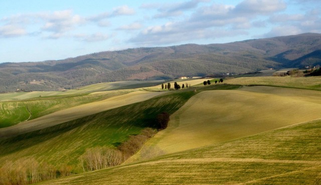 Relax In The Wonderful Tuscan Countryside One Step From The Sea .