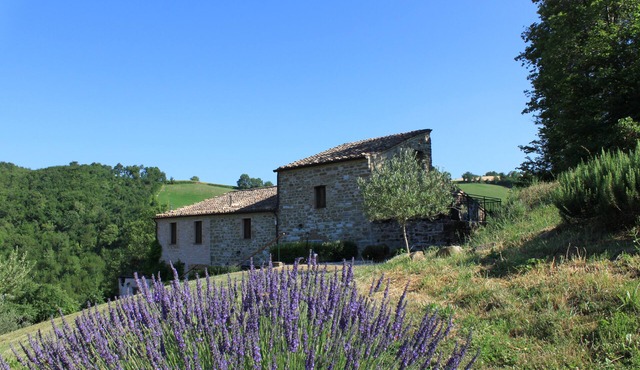Relaxation, enjoying nature, walking in Le Marche Italy at Cottage ‘Il Fuoco’