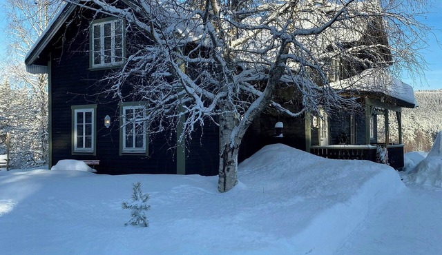 Renovated cabin with views in Trysil