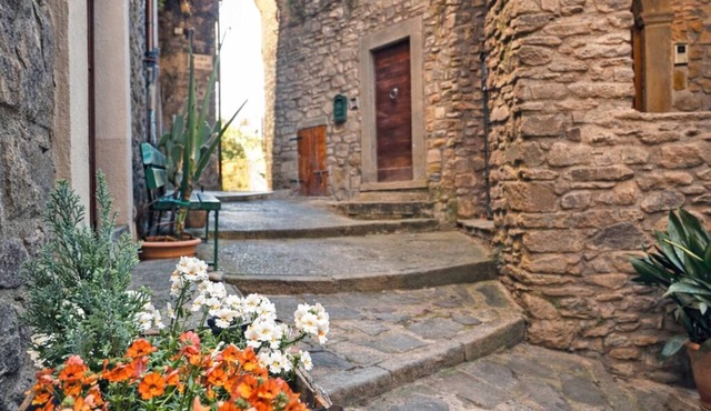 Renovated medieval house with a unique view