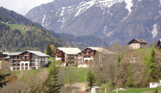 Rental in Notre Dame de Bellecombe, Espace Diamant, 500m from the ski lifts.