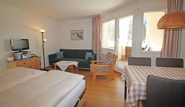 Residenza Lagrev - 1 room flat - No. 003 - Type 12A - Raised ground floor - S