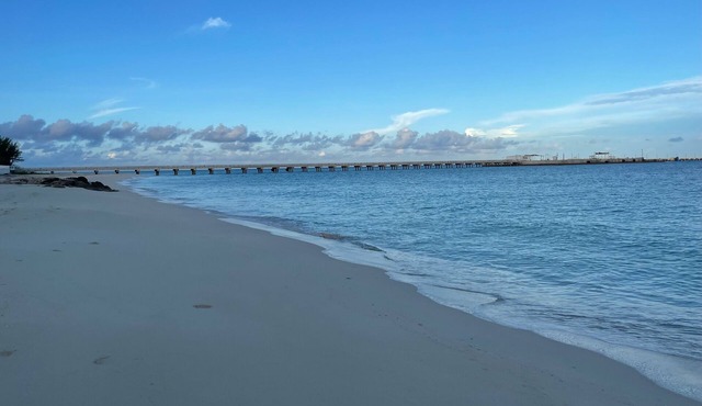 Resort World Bimini Bay