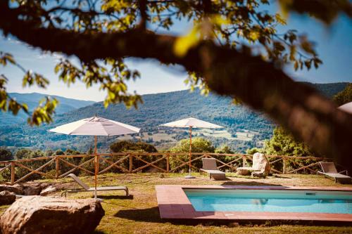 Restored Farmhouse In Tuscan Casentino Hills
