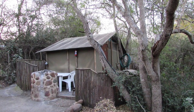 Romantic canvas pad on river, share shower with monkeys and listen to the lions