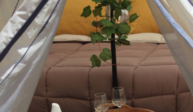 Romantic Glamping in Valle de Guadalupe