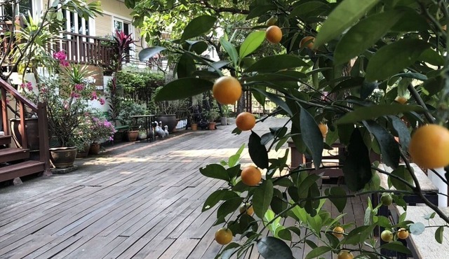 Romyen cafe homestay
