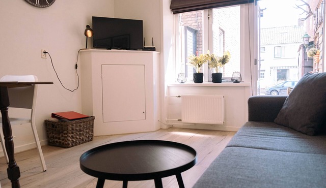 Ruime Vakantiewoning, Vlakbij Strand en Gezellige Dorpscentrum van Egmond
