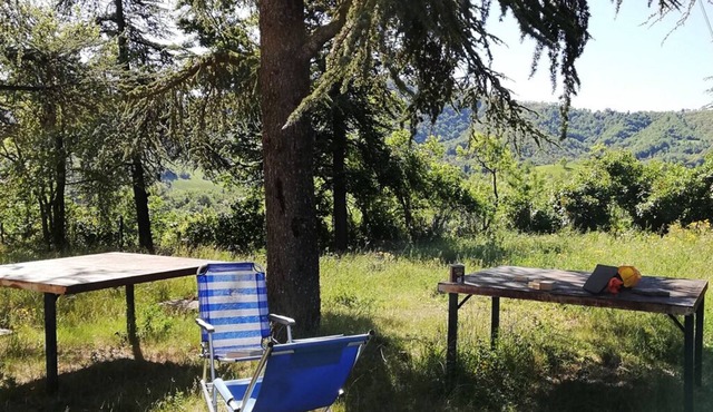 Rustic house surrounded by greenery - Saltapicchio