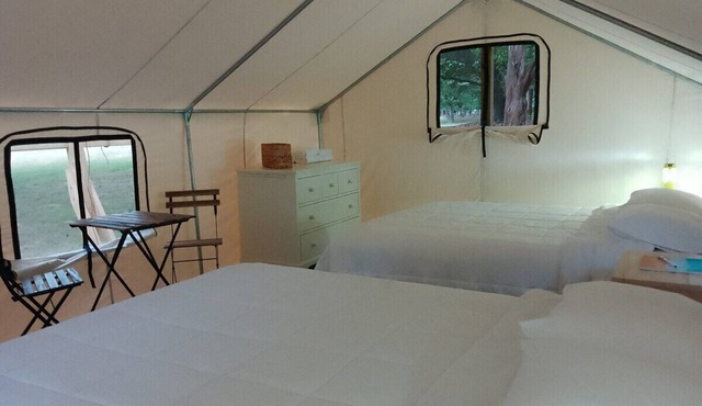 Safari Tent Glamping,D27-CedarPt, East Hampton, NY
