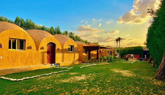 Sahure Pyramid View Inn