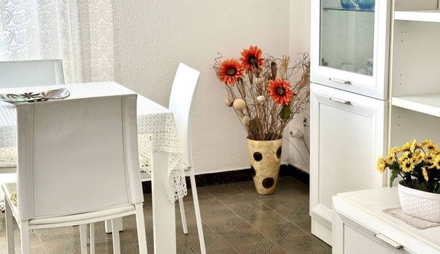 SE081 - Marotta, three-room apartment 100 meters from the sea