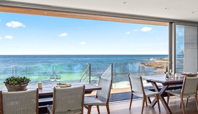 Seagull - Beach front in Mollymook,